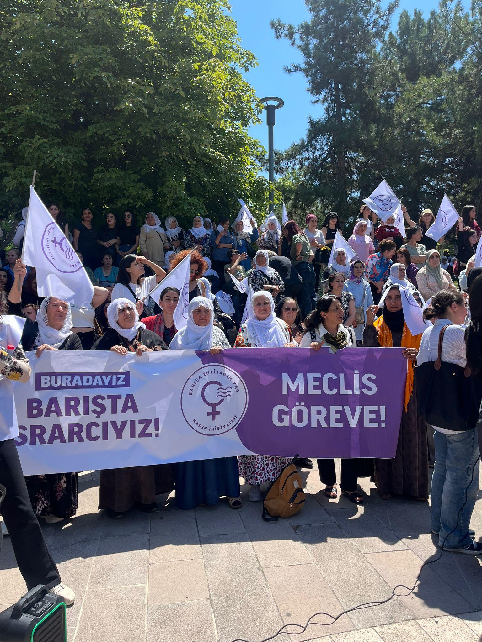 WhatsApp Image 2025-08-07 at 17.55.18 (3)